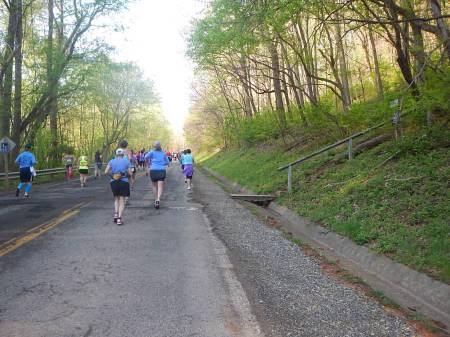 2015 Blue Ridge Half Marathon