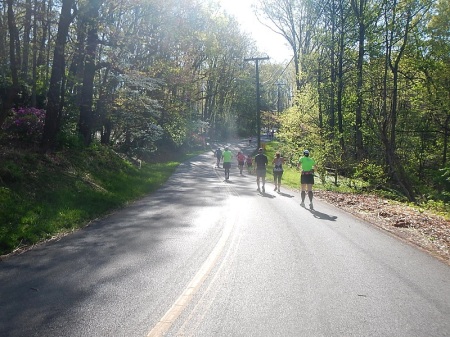 2014 Blue Ridge Half Marathon